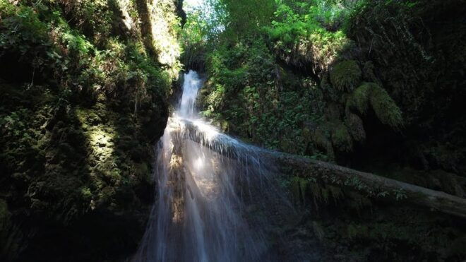 Jeep Safari Saklıkent Gizlikent - Inclusions of the Tour