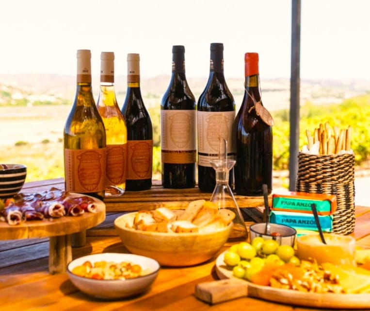 Jeep Safari with Winery Visit & Wine Tasting included - The Value of This Experience  
