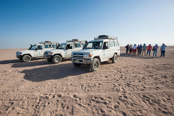 Jeep Super Safari Excursion Sunset, Camel Ride, Bedouin Dinner - Marsa Alam - Pricing Information