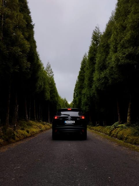 Jeep Tour Full Day East (Geothermia and Furnas) - Itinerary Highlights