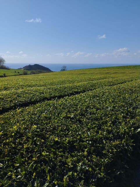 Jeep Tour Full Day East (Geothermia and Furnas) - Guided Tours