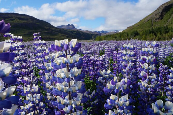 Jeep Tour in Iceland - The Eastfjord (from Djúpivogur) - Weather and Clothing Tips