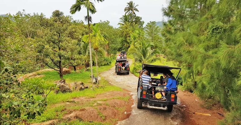 Jeep Tour Koh Samui Jungle Safari Full Day Adventure - Highlights and Potential Drawbacks