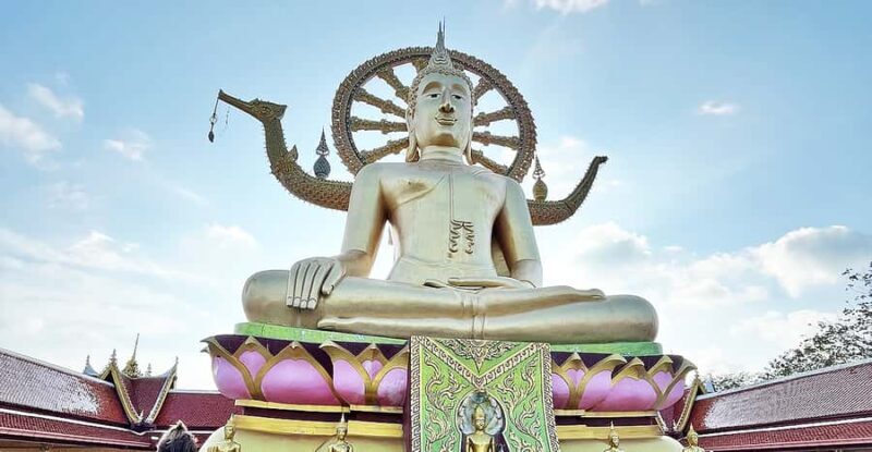 Jeep Tour Koh Samui Jungle Safari Full Day Adventure - Final Thoughts