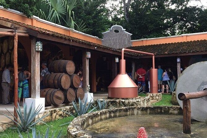 Jeep Tour of Cozumel with Lunch and Beach Club - The Experience: What You Can Expect