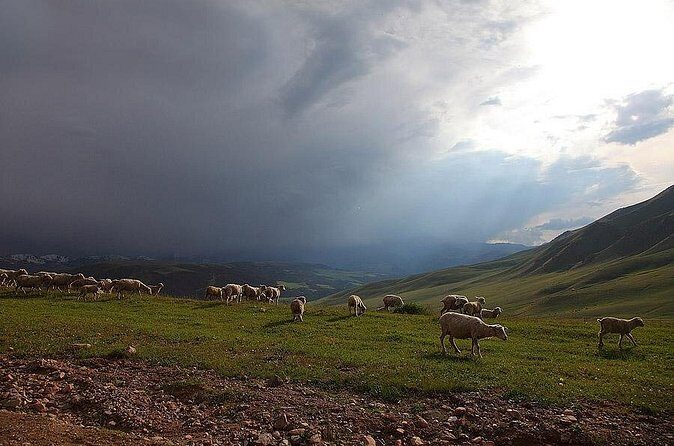 Jeep Tour: Plateau Assy - Practicalities and What You Need to Know