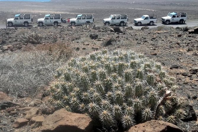 Jeep Tour to Cotillo and Northern Area of Fuerteventura - Visiting Castle Tostón