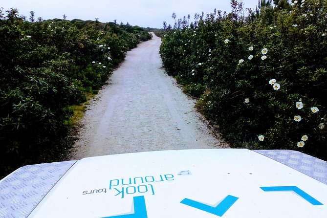 Jeep Tour to Espichel Cape Mysteries & Wild Beaches - Meeting and Pickup