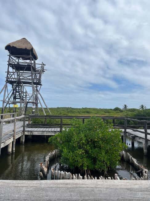 Jeep Tour to Punta Sur Eco Beach Park with Lunch - Exploring Cozumel with the Jeep Tour to Punta Sur Eco Beach Park