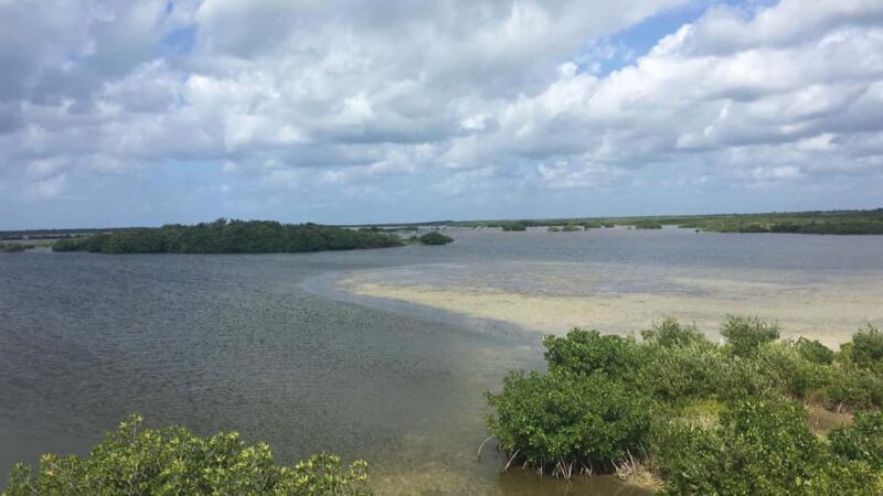 Jeep Tour to Punta Sur Eco Beach Park with Lunch - Who Should Consider This Tour?