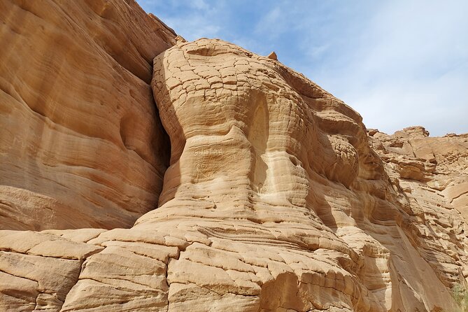 Jeep Tours Through the Sinai Desert - Tour Highlights