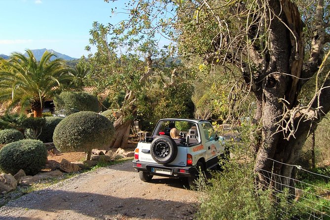 Jeep Trip Express: Discover Mallorca From the East Coast - Tour Details
