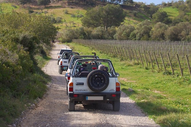 Jeep Trip Express: Discover Mallorca From the East Coast - Cancellation Policy