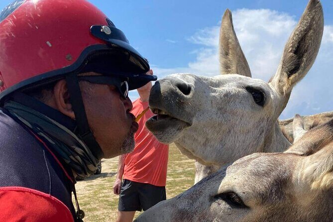 Jeep Wrangler Jk Hardtop 4 door - Good To Know