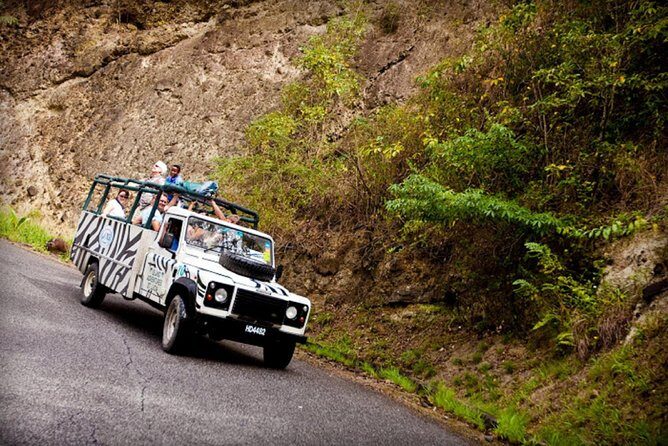Jeep & Zip Safari St. Lucia From Castries - Good To Know