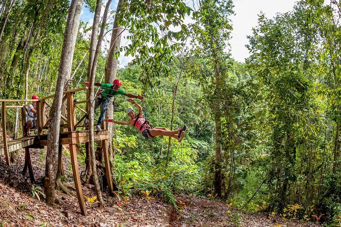 Jeep & Zip Safari St. Lucia From Castries - The Sum Up
