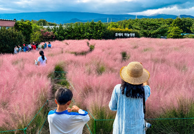 Jeju 2-Day Island Highlights Tour with Seasonal Flowers - Guides can shape the whole day