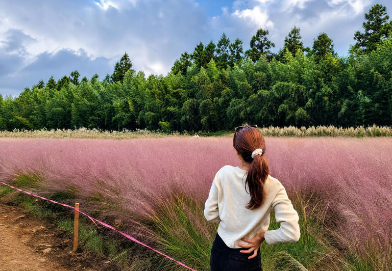 Jeju 2-Day Island Highlights Tour with Seasonal Flowers - Seasonal flowers are a bonus, not a guarantee
