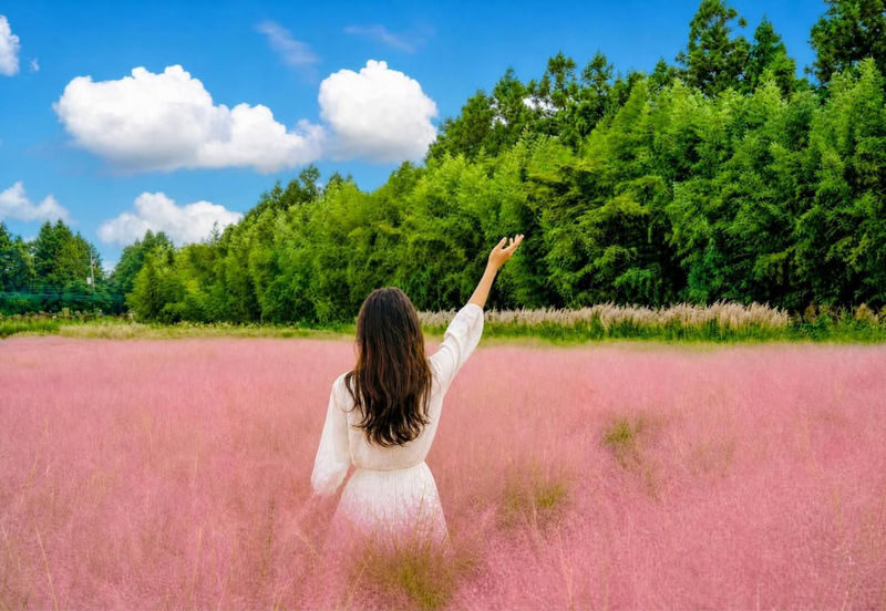 Jeju 3-Day UNESCO East, South & West Highlights Tour - Key points