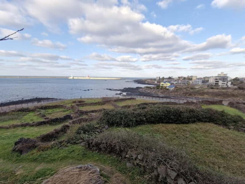 Jeju: 4.3 Incident History & Cultural Tour with a Guide - A Detailed Look at the Tour Experience