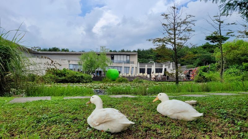 Jeju Bonte Museum Ticket - What Bonte Museum is trying to show