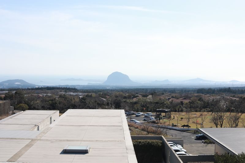 Jeju Bonte Museum Ticket - Who should make time for Bonte Museum?