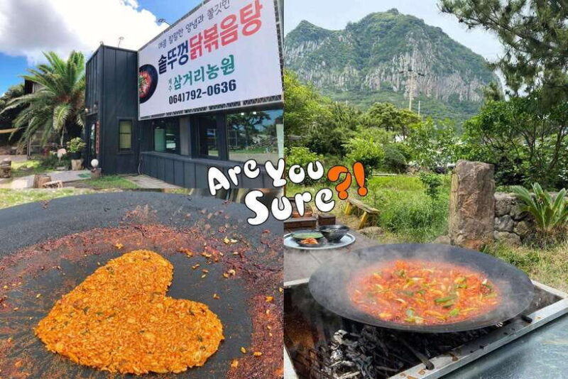 Jeju: BTS Are You Sure?! Filming Locations Private Taxi Tour - Good To Know