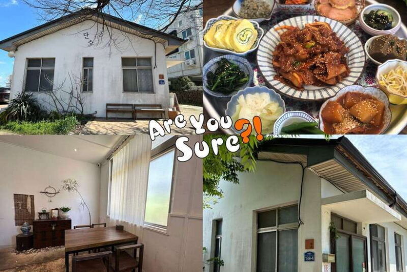 Jeju: BTS Are You Sure?! Filming Locations Private Taxi Tour - FAQ