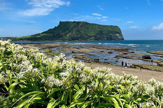 Jeju BTS & K-drama Fans Small Group Tour incl. Snoopy Garden - Final Thoughts: Is This Tour Right for You?