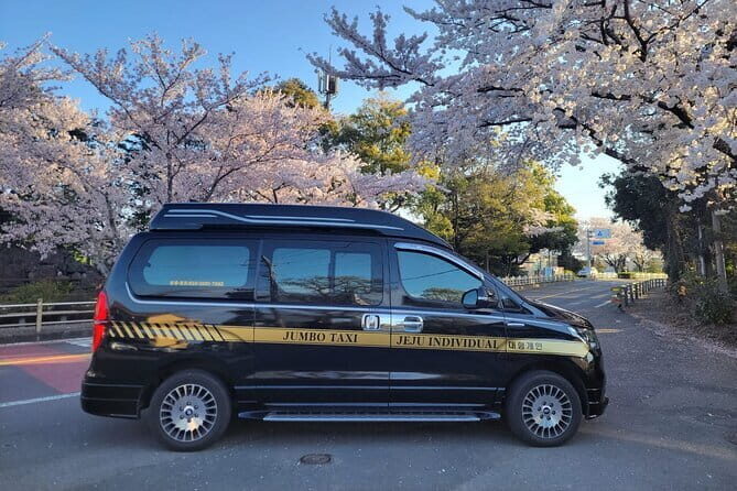 Jeju BTS & K-drama Fans Small Group Tour incl. Snoopy Garden - FAQs