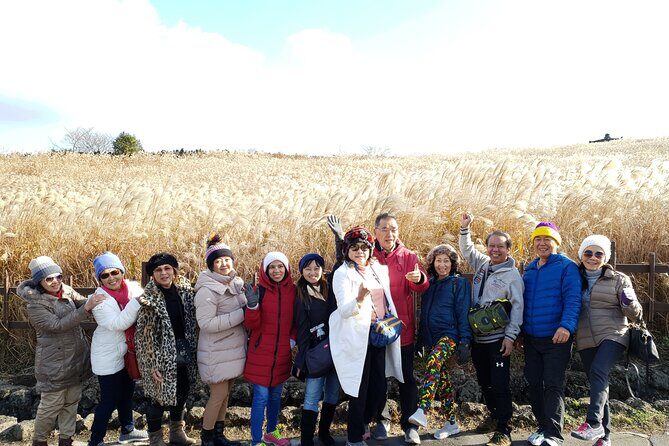 Jeju bus tour with professional English guide for cruise customer - What’s Included and What to Consider