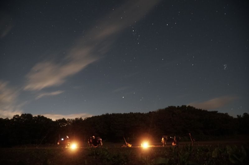 Jeju Camping Experience - What the price buys, and what it may not