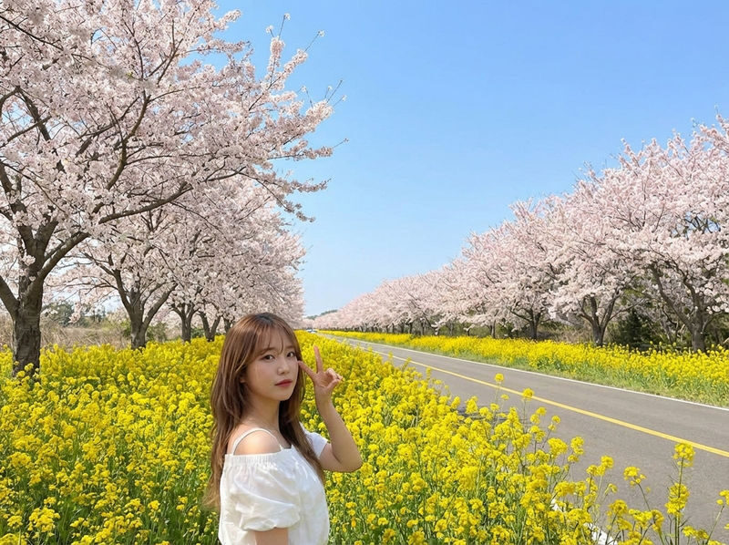 Jeju cherry Blossom Season Tour: Small Group - What to know before you book