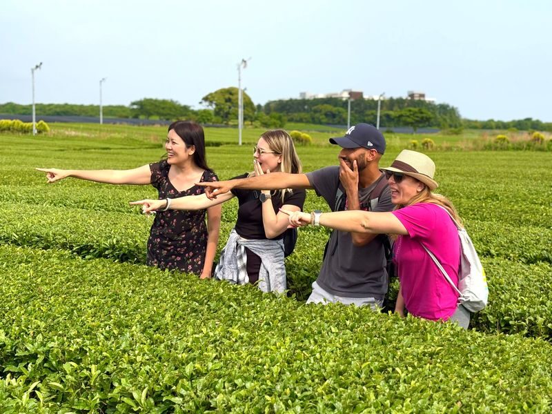 Jeju Cool UNESCO Waterfalls, Highlands & Yacht Small Group Day Tour - O’Sulloc and Innisfree: tea, sweets, and Jeju skincare