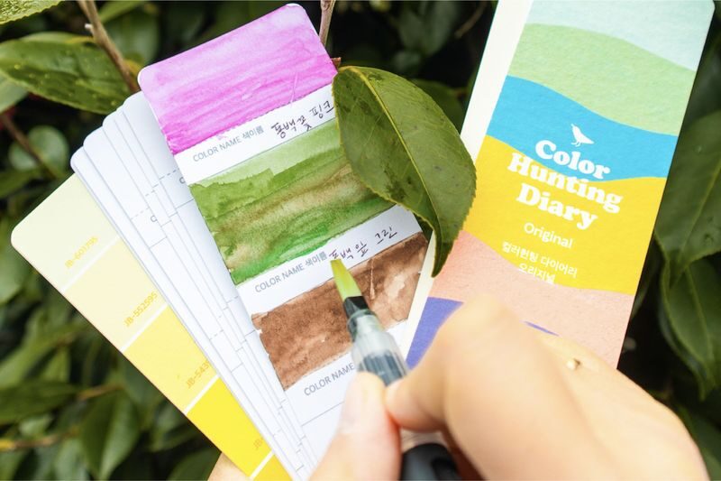 Jeju Cottage Garden Color Hunting Experience - What the price includes, and what it’s worth