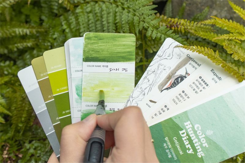 Jeju Cottage Garden Color Hunting Experience - Getting to Tutti Colori and choosing a session