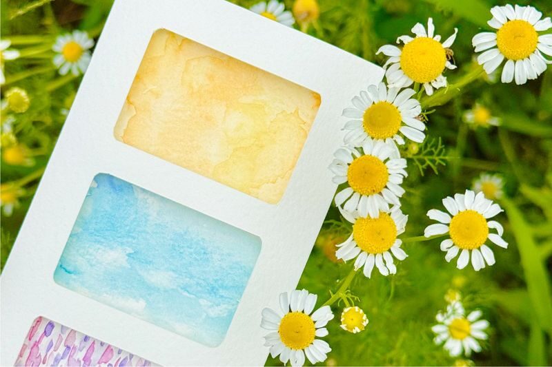 Jeju Cottage Garden Color Hunting Experience - Should you book the Jeju Cottage Garden Color Hunting Experience?