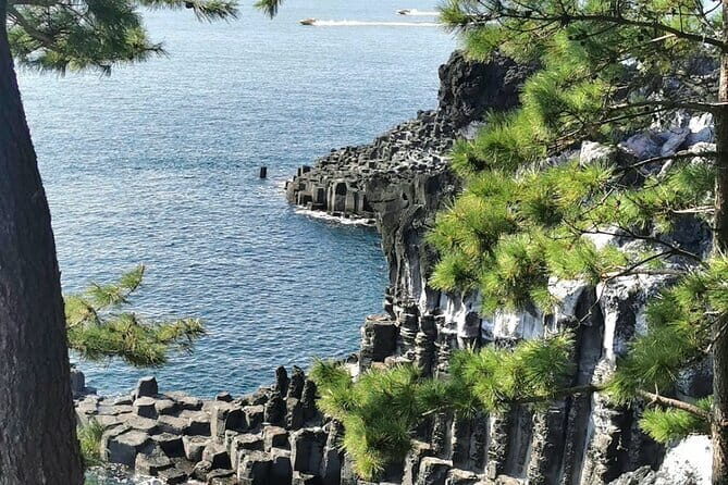 Jeju Cruise Ship gangjung Port PRIVATE tour for all group sizes - The Sum Up: Who Will Love This Tour?  