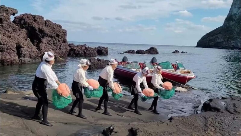 Jeju: Customized Private Vehicle Day Tour - FAQ