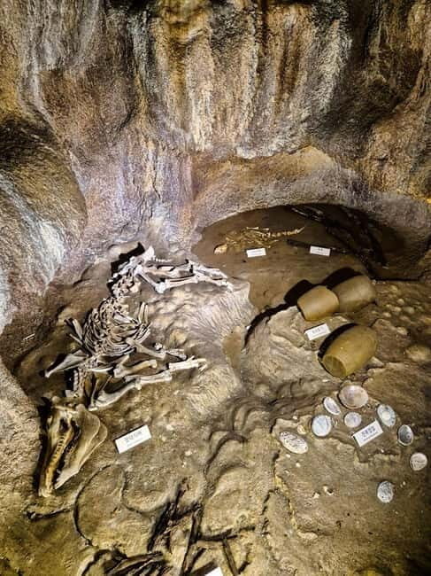 Jeju: customized shore excursions for up to 7 people - Good To Know