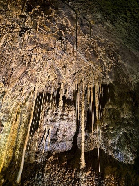 Jeju: customized shore excursions for up to 7 people - Practical Tips for a Smooth Experience