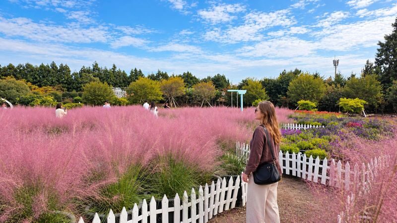 Jeju Day Tour for First-Time Visitors | UNESCO Sites & No Shopping - Meeting the haenyeo
