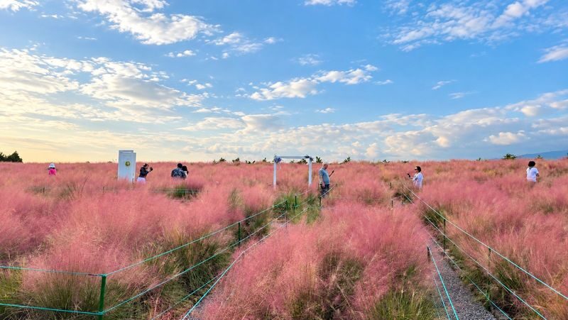 Jeju Day Tour for First-Time Visitors | UNESCO Sites & No Shopping - Climbing Seongsan Ilchulbong