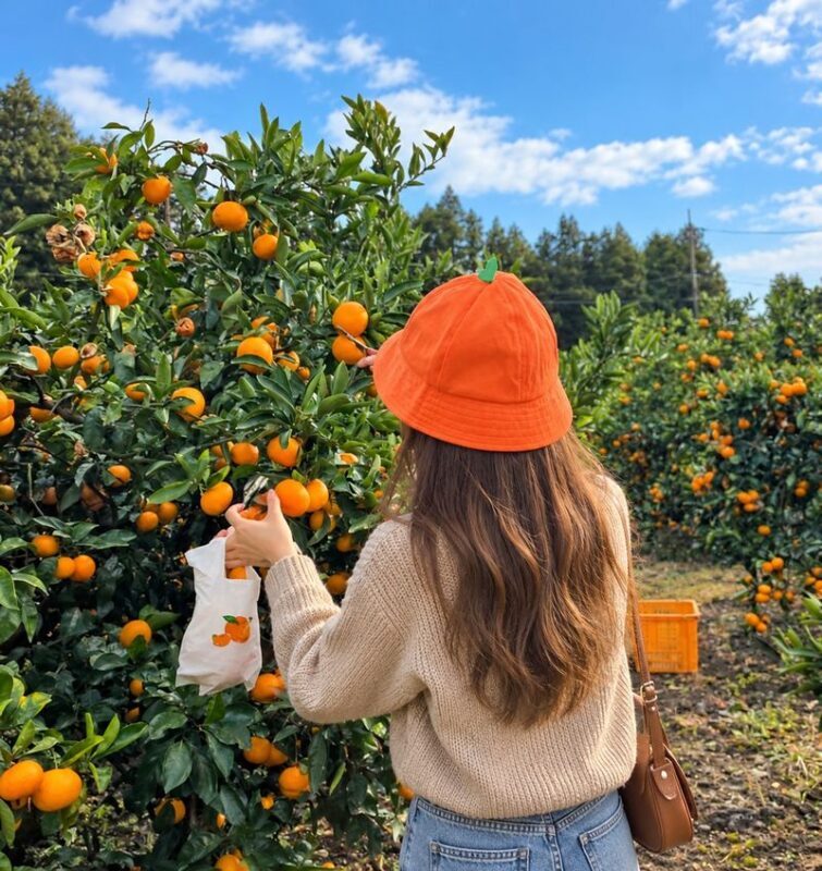 Jeju Day Tour for First-Time Visitors | UNESCO Sites & No Shopping - Into the Manjanggul Lava Tube