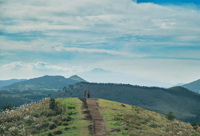 Jeju: Day Tour, Small Volcano & Landmark & UNESCO Heritage - Introduction