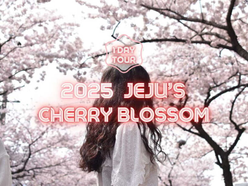 Jeju East: Cherry Blossom Early Bird Tour with Hotel Pickup - Good To Know