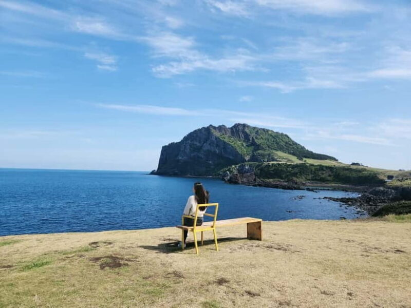 Jeju East: Cherry Blossom Early Bird Tour with Hotel Pickup - A Deep Dive into the Jeju East Cherry Blossom Tour