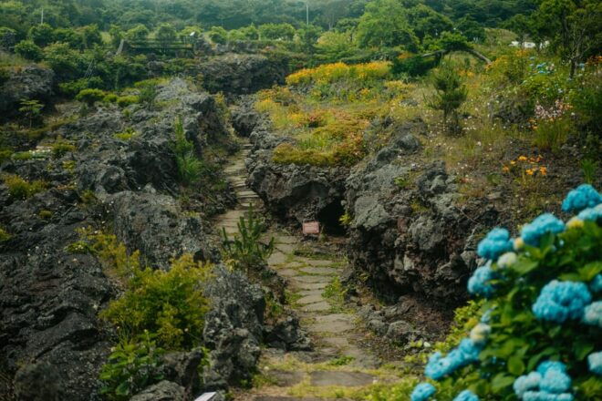 Jeju East: Healing UNESCO Small Group Day Tour - Scenic Locations