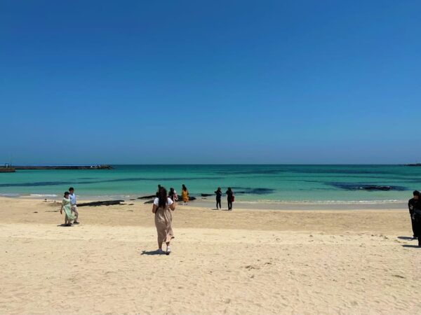 Jeju East: Healing UNESCO Small Group Day Tour - Booking Information
