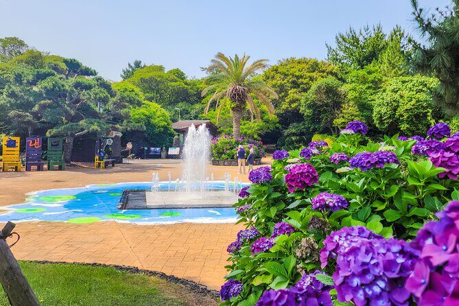 Jeju East Hydrangea Tour with UNESCO site - Good To Know